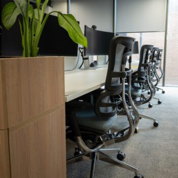 A row of i29 Chairs and desks with computer monitors in a modern workspace, situated beside a wooden planter with a green plant.