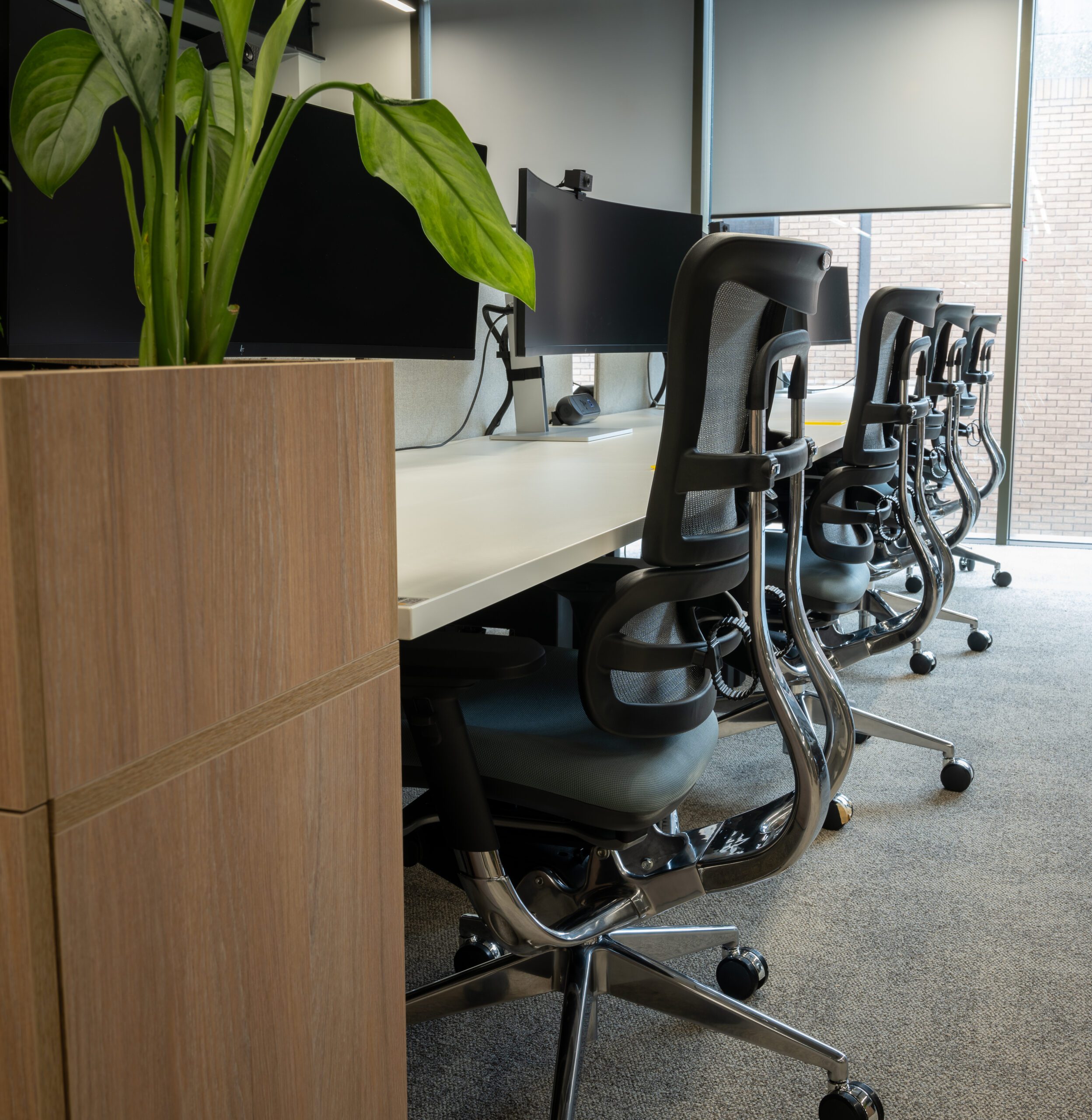 A row of i29 Chairs and desks with computer monitors in a modern workspace, situated beside a wooden planter with a green plant.