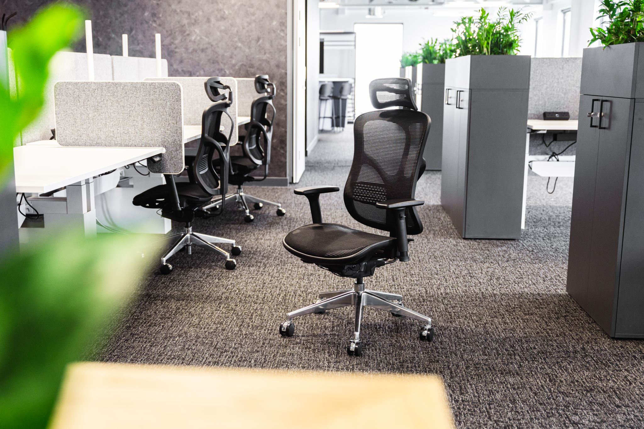 A modern office featuring empty black F94 Chairs, gray desks with privacy screens, green plants in partition planters, bright lighting, and neutral decor.