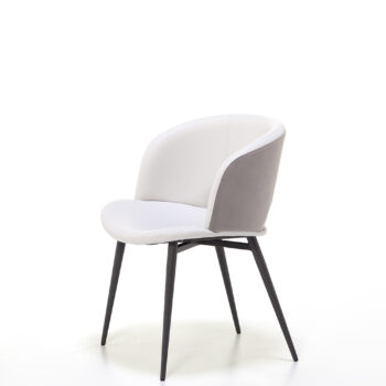 Fashion Chair