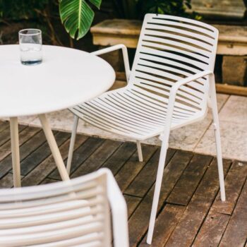 Zebra Chair
