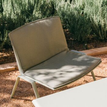 Zebra Armchair