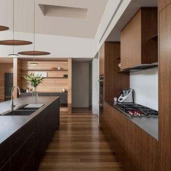 Sky Dome Walnut