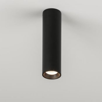 Haul Ceiling Light