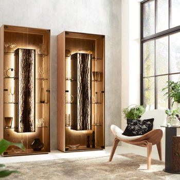 Runa Display cabinet