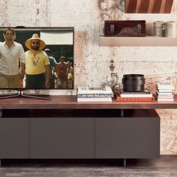 Seneca TV Unit