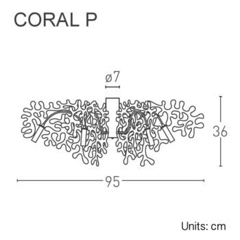 Coral P Dimensions