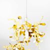 Minicoral Suspension