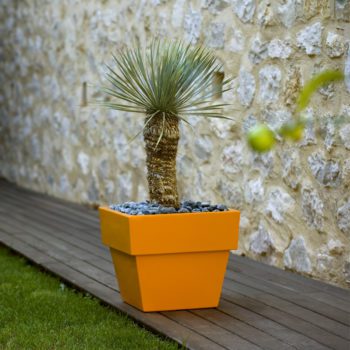 Vaso Cuadrado Planter