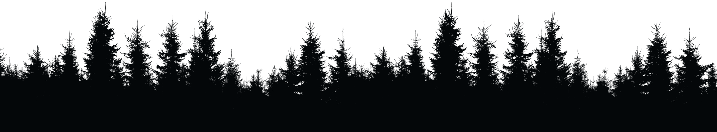 Silhouette of dense pine trees forming a forest against a light, overcast sky.